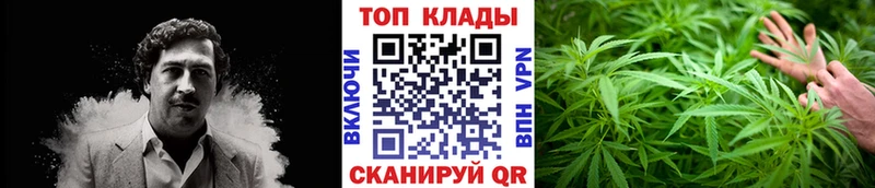 Каннабис Невель