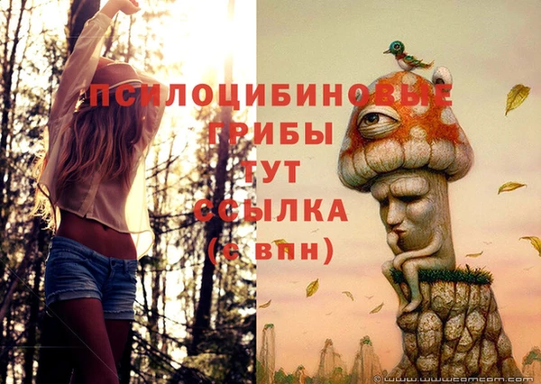метадон Баксан