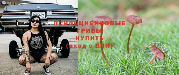 прущие крисы Балахна