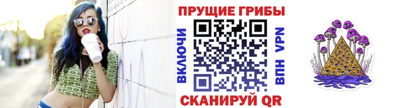 Псилоцибиновые грибы MAGIC MUSHROOMS  Невель 